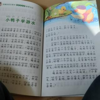 小鸭子学游水。