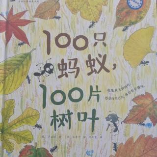 100只蚂蚁和100片树叶