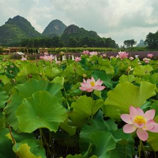 《为孩子遮风挡雨》15