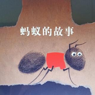 绘本故事-《蚂蚁的故事》