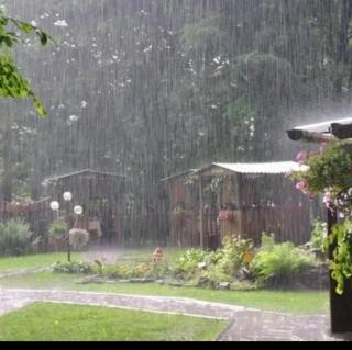 寂寞像雨 作者：碑林路人