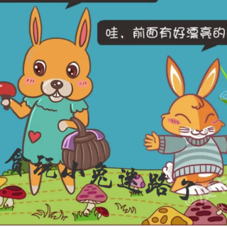 《贪玩小兔迷路了》🐰