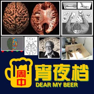 【宵】恐怖脑科手术(下)：将活人大脑一切为二的"裂脑手术" - 20221102