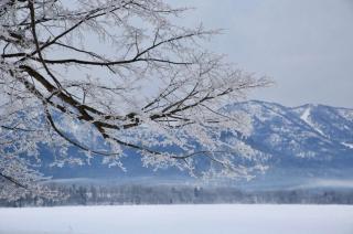 雪意 诗/陈鹏（湖南）