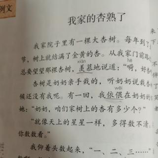 《我家的杏熟了》《小木船》