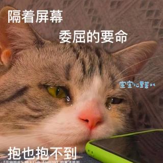 在乎你的人，是藏不住的