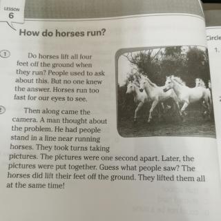 Lesson6 How do horses run?