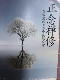 大脑“行动”与“存在”模式的7个特点——《正念禅修》第2篇（二