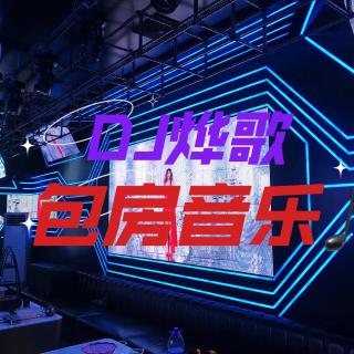 用心感受老歌带来的快乐-DJ烨歌