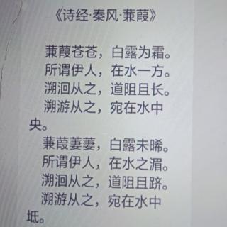 《蒹葭》