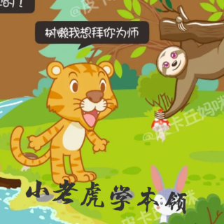 《小老虎学本领》🐯