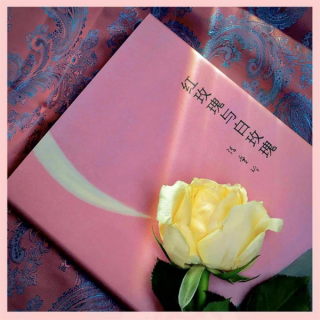 红玫瑰与白玫瑰 第04集 花凋 (1)  金粉色