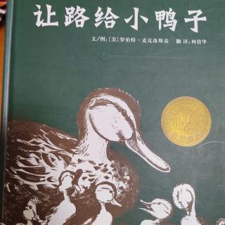 凯迪克金奖绘本《让路给小鸭子》