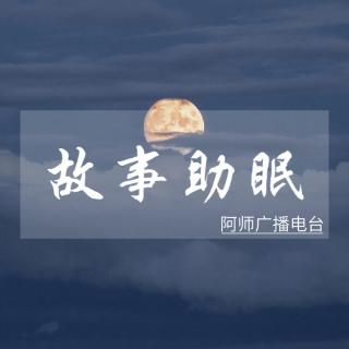 故事助眠｜暗恋一朵花的云（下）（来自FM23769617）