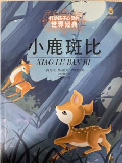 《小鹿🦌斑比》NO.11