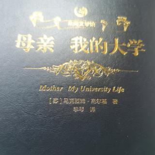 《我的大学》