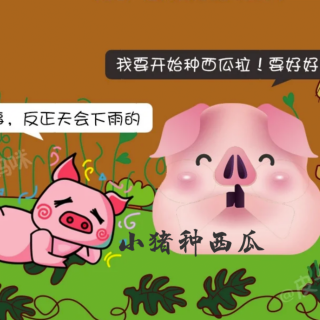 《小猪种西瓜》🐖