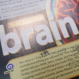 Your Amazing Brain by Darcy