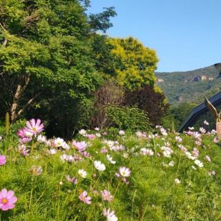 《华夏名山》语音示范