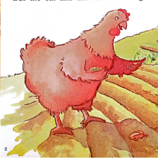 The  Little Red Hen