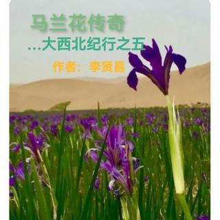 《马兰花传奇…大西北纪行之五》作者李贤昌