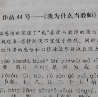 作品44号我为什么当教师