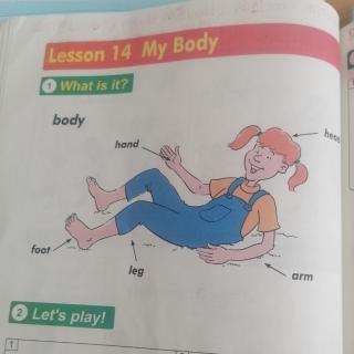 Lesson  14  My  Body