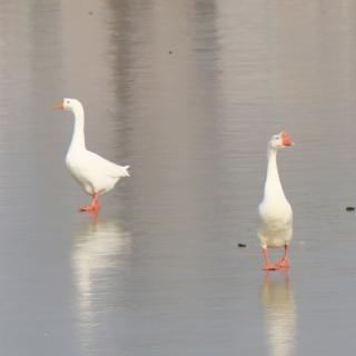 思念成海