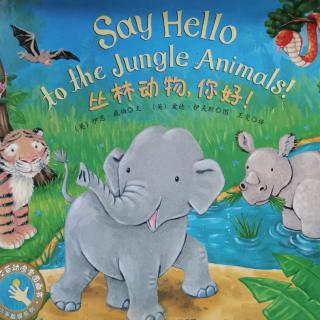 Lily老师讲故事——《丛林动物，你好！》