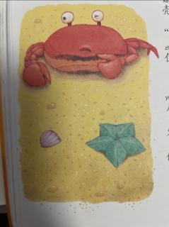 《爱恶作剧的小螃蟹🦀️》