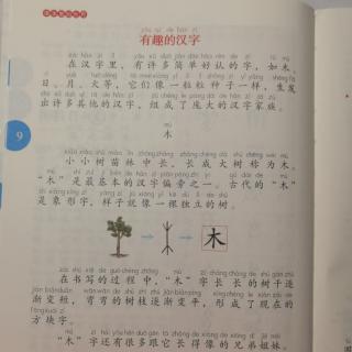 有趣的汉字