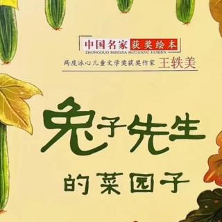 兔子先生的菜园子