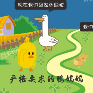 《严格要求的鸭妈妈》🐥