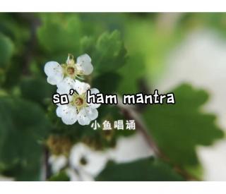 so'ham mantra - 小鱼唱诵20220128