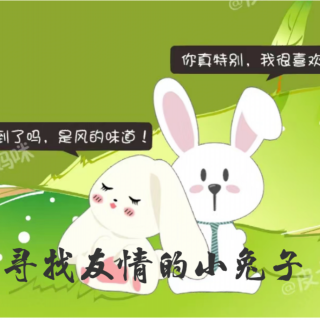 《寻找友情的小兔子》🐰