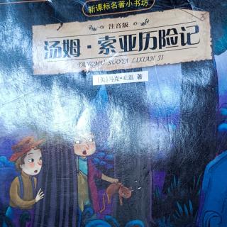 153《汤姆·索亚历险记二.2》