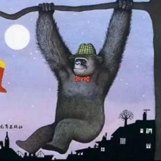 33.猩猩🦍当老师