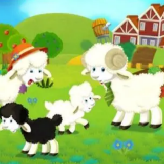 羊群与羊圈
