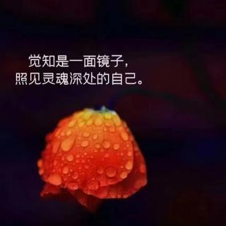 《孔子传》第二章