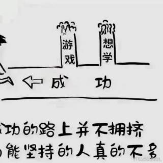 哈佛凌晨四点半