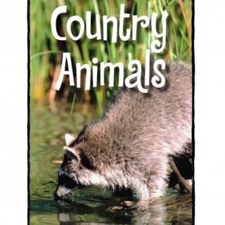【艾玛读绘本】RAZ-E Country Animals 讲解+朗读