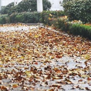 冷雨     作者：闻小语     改编：左旗