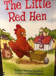 Little Red Hen