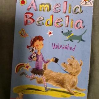 Amelia Bedelia unleashed