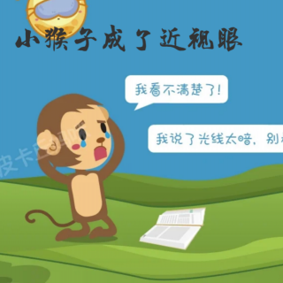 《小猴子成了近视眼》🐒