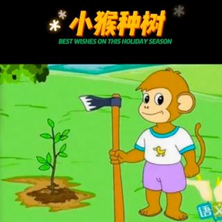 卓为幼儿园校园广播📢《小猴种果树》