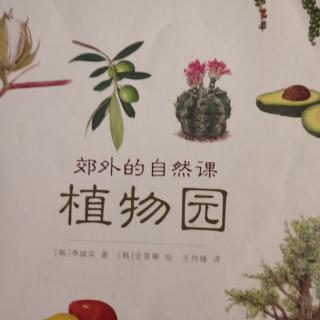 植物园