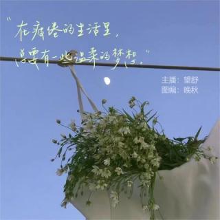 周日晚安曲第五期【花开是缘，花落是禅】VOL.望舒