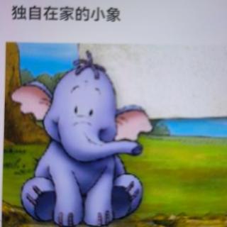 獨(dú)自在家的小象