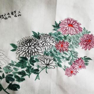 巜咏菊》白居易（唐）